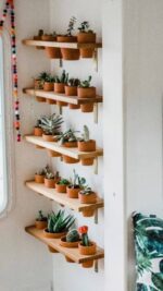 Planters -0001 - Image 7