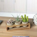 Planters -0001 - Image 4