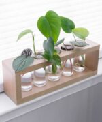 Planters -0001 - Image 3